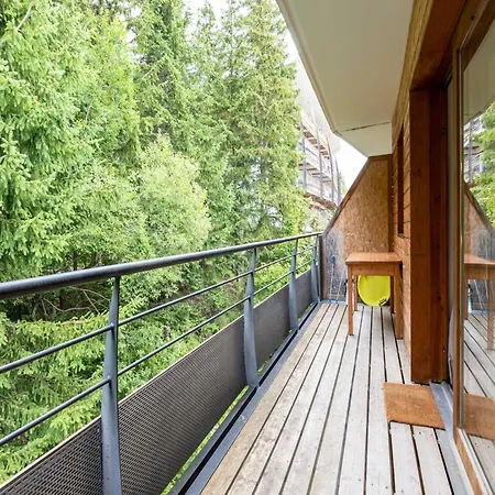 Apt In Chamrousse, Near Ski Slope