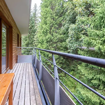 Apt In Chamrousse, Near Ski Slope *